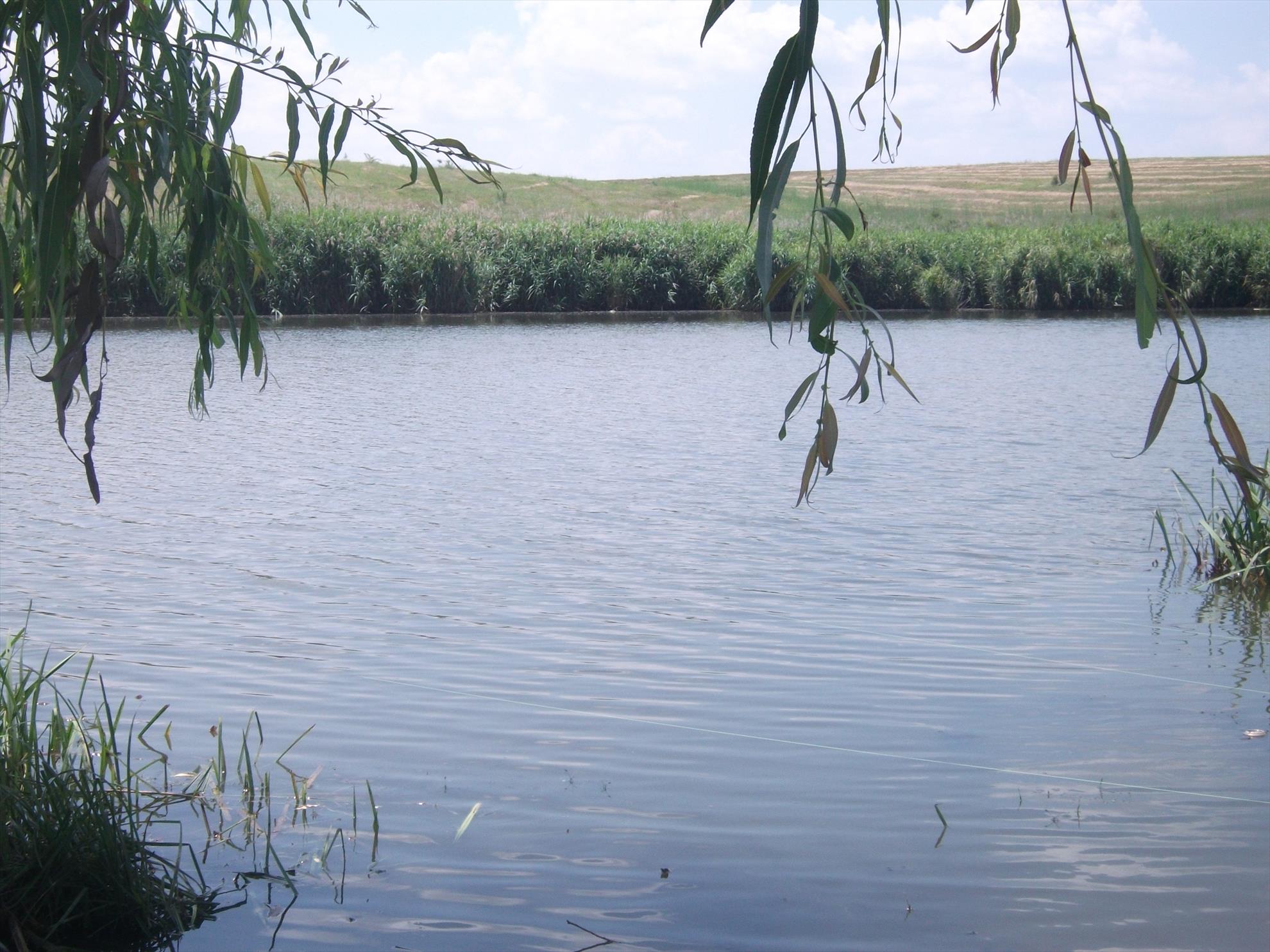 Walter Maracineanu 4 - 5 iul. - dscf0525.jpg